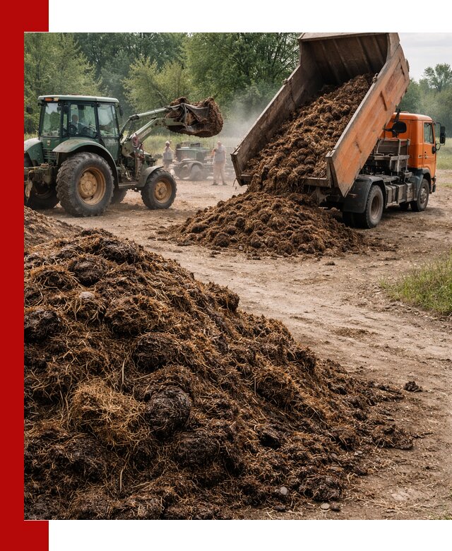 Доставка навоза самосвалами в Каспийске для сельхозпотребностей
