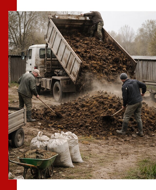 Доставка коровьего навоза самосвалом в Каспийске
